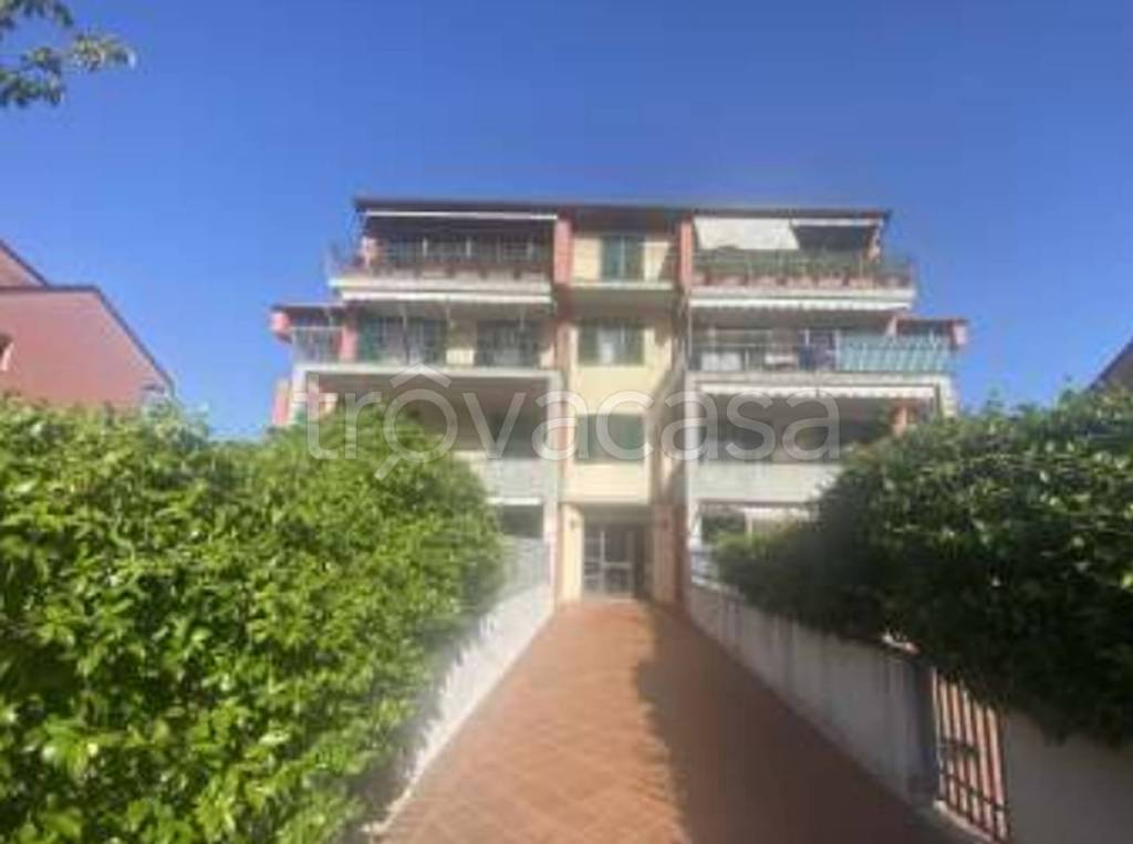 immagine annuncio 6 di 12