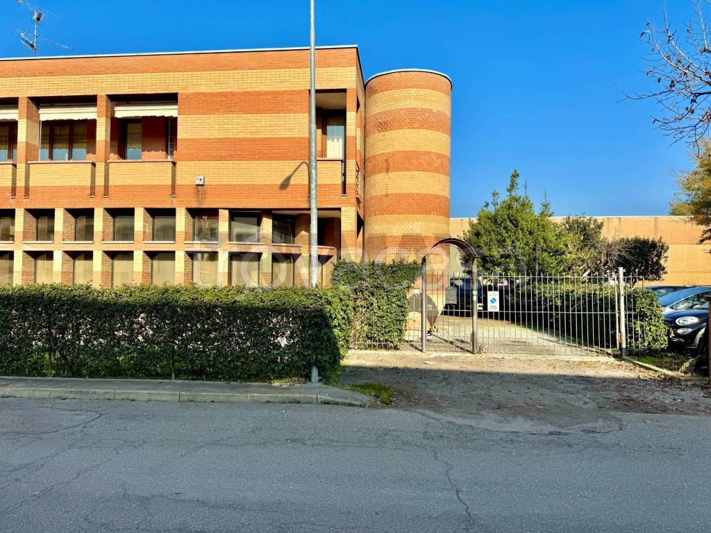 immagine annuncio 9 di 15