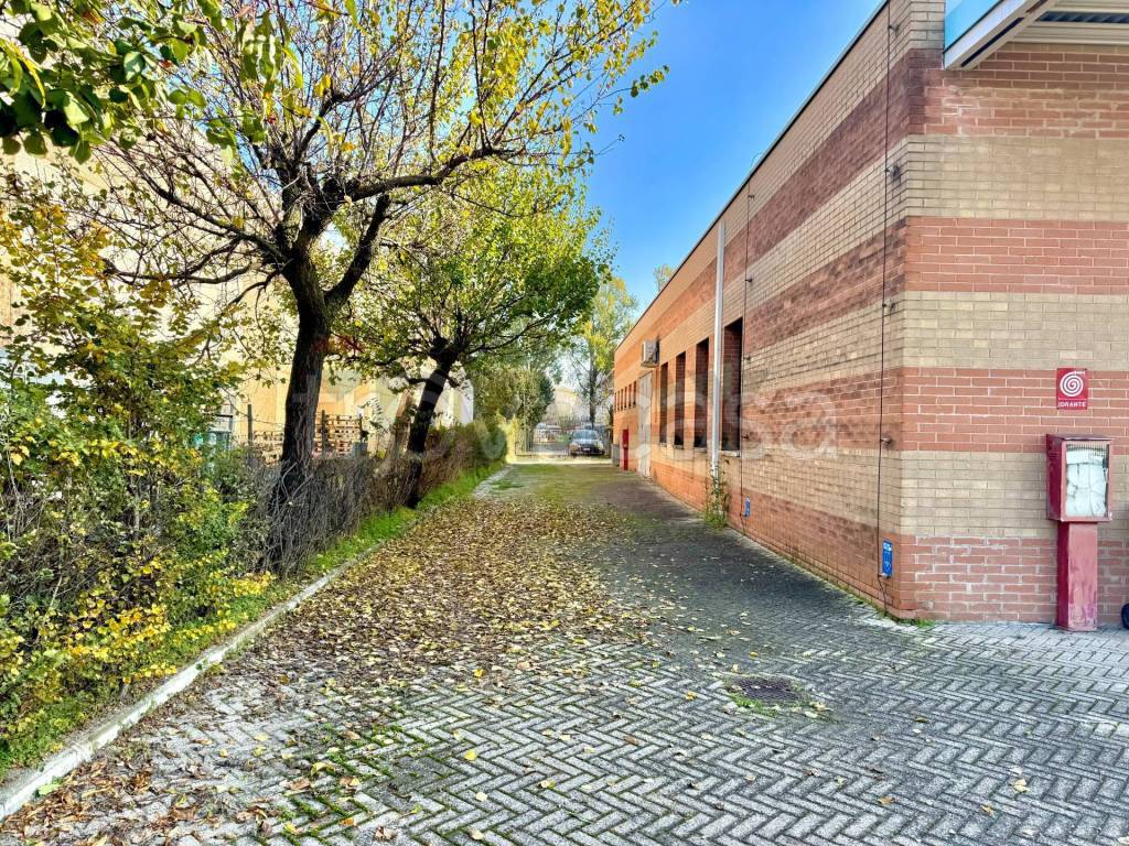 immagine annuncio 13 di 15