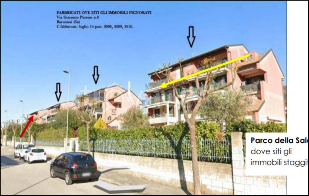 immagine annuncio 2 di 12