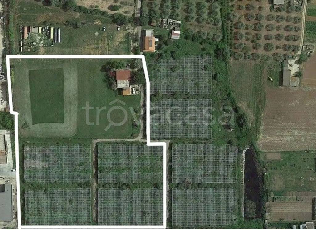 immagine annuncio 6 di 8