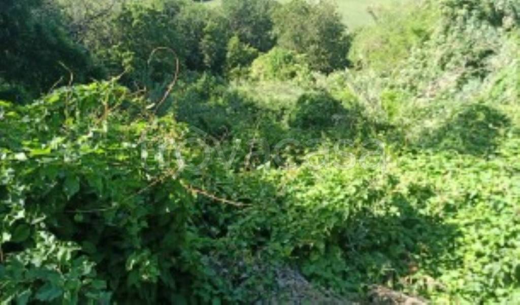 immagine annuncio 8 di 11