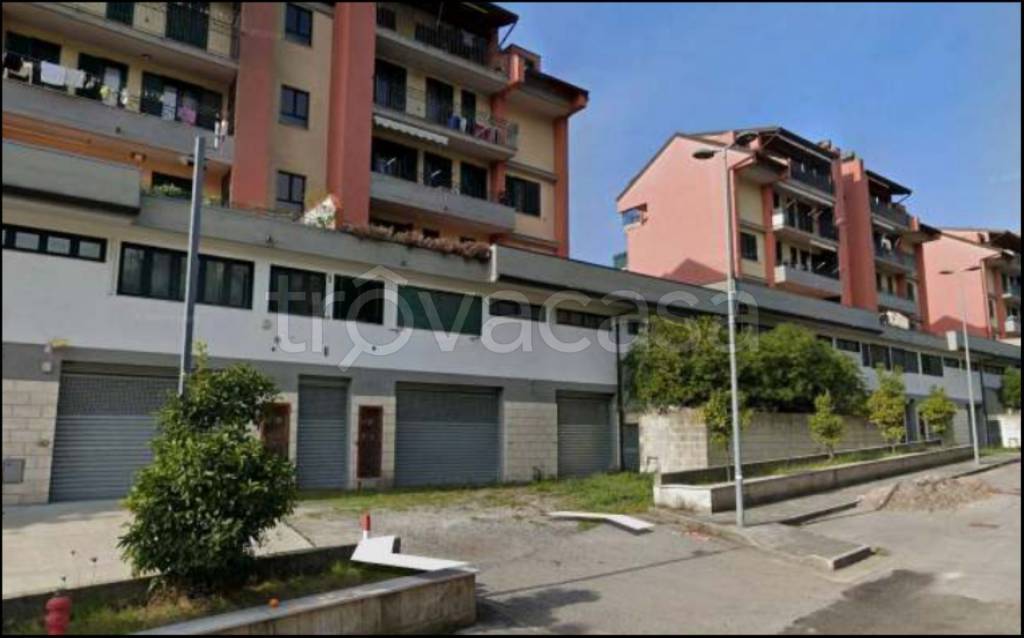 immagine annuncio 2 di 12