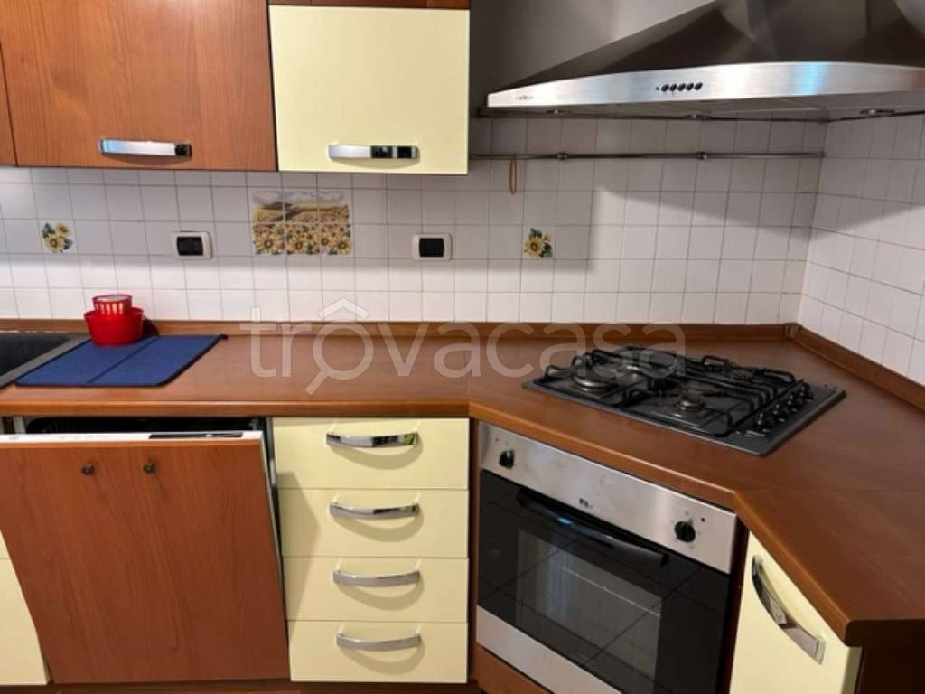 immagine annuncio 6 di 15