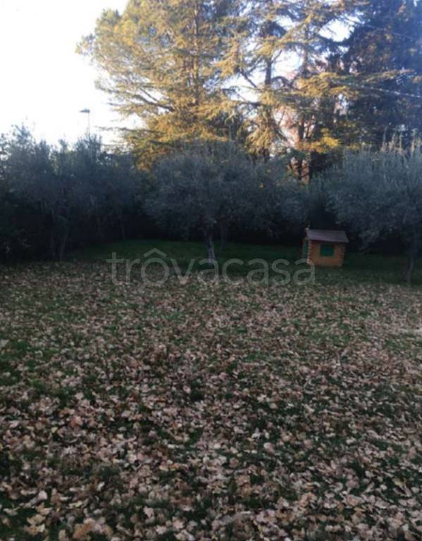 immagine annuncio 5 di 9