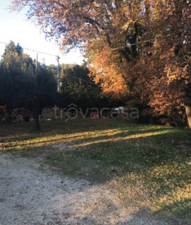 immagine annuncio 7 di 9