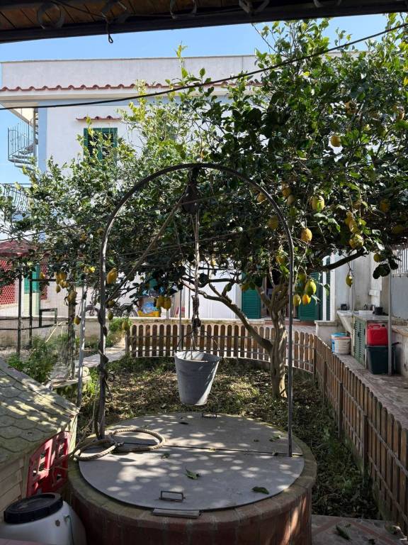 immagine annuncio 2 di 11