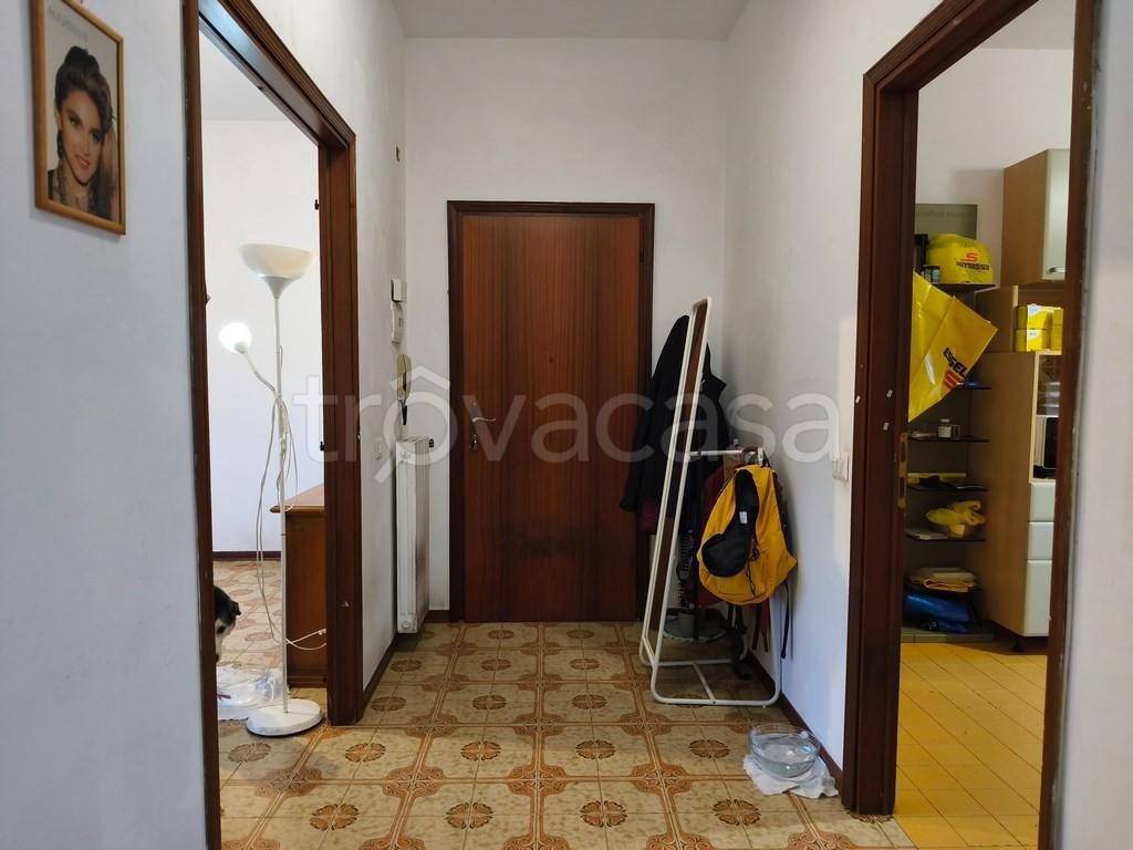 immagine annuncio 10 di 14