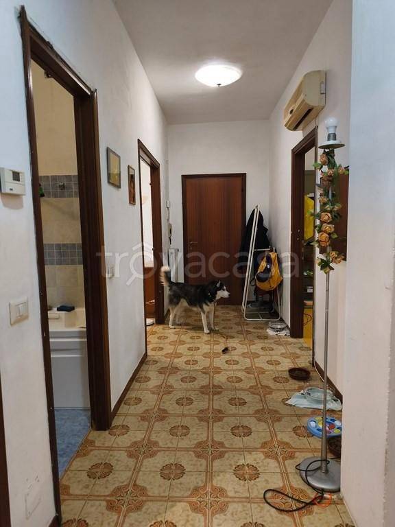 immagine annuncio 12 di 14