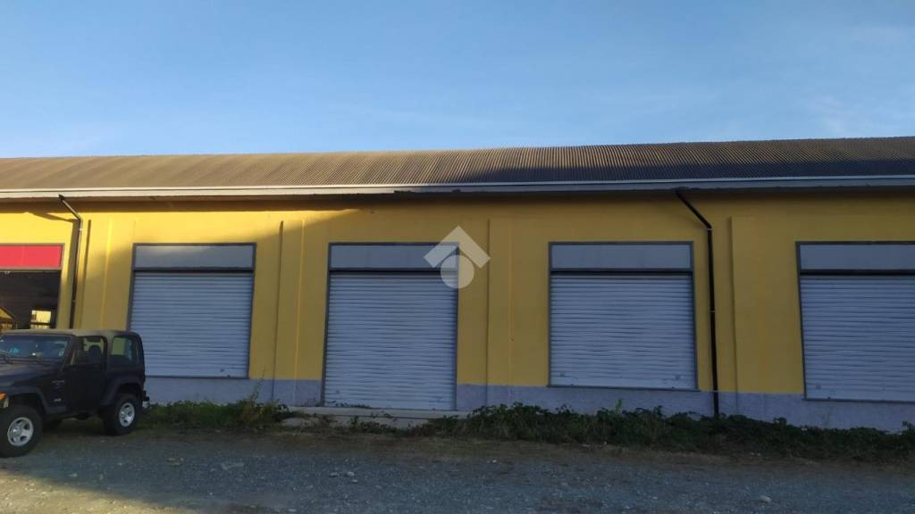 immagine annuncio 2 di 12