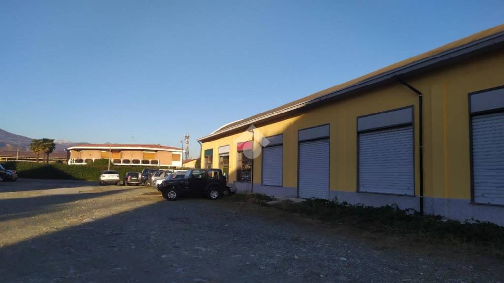 immagine annuncio 4 di 12