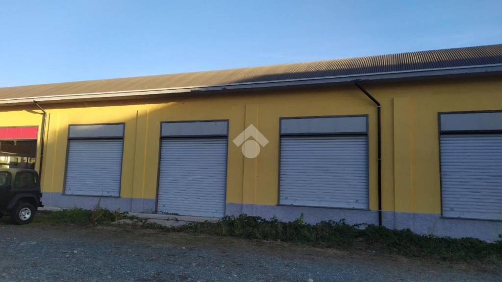 immagine annuncio 6 di 12