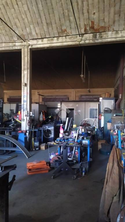 immagine annuncio 9 di 12