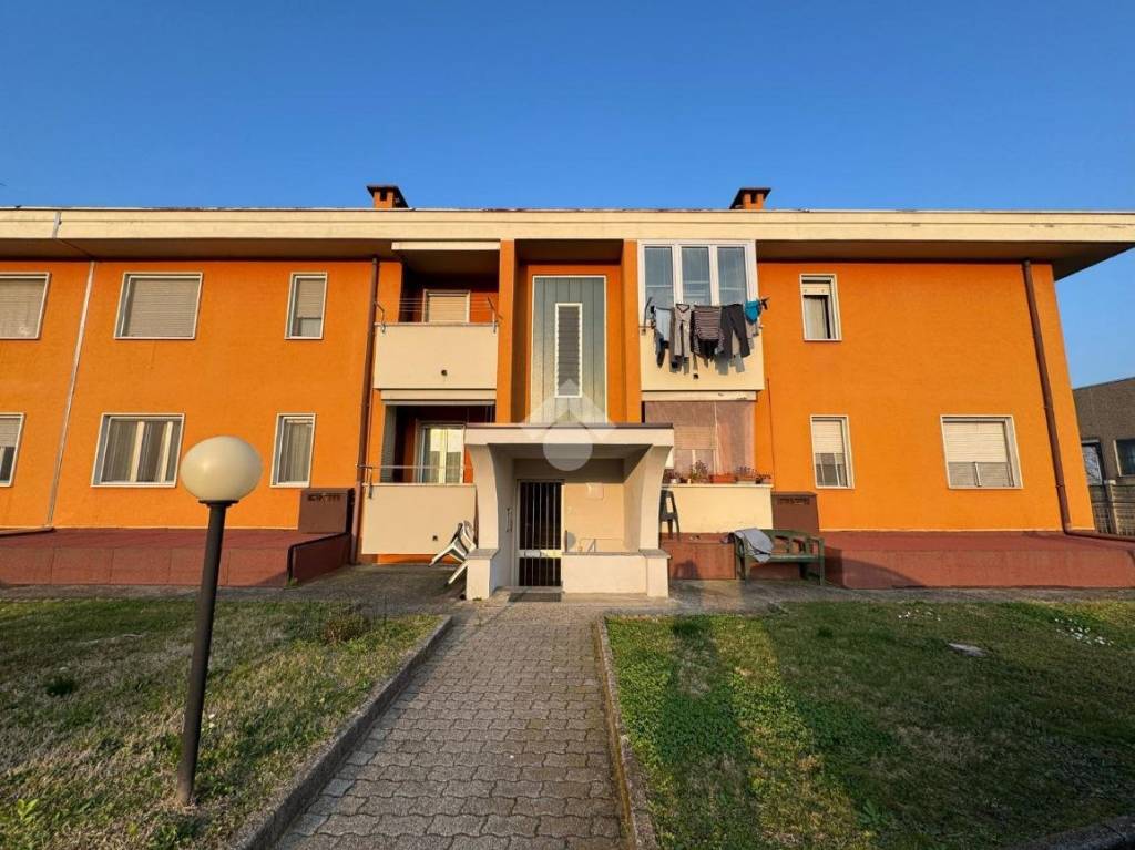 immagine annuncio 1 di 15