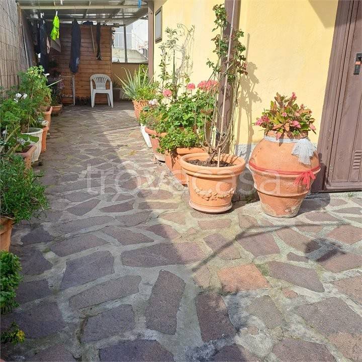 immagine annuncio 12 di 14
