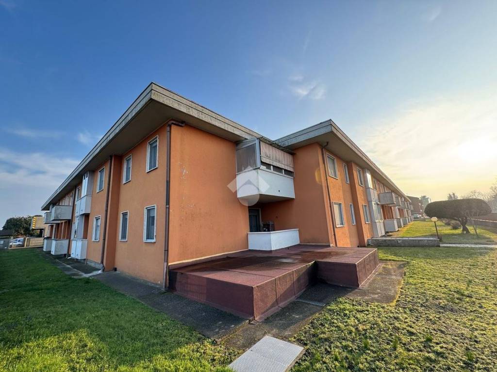 immagine annuncio 11 di 15