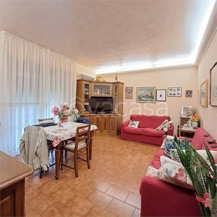 immagine annuncio 3 di 14