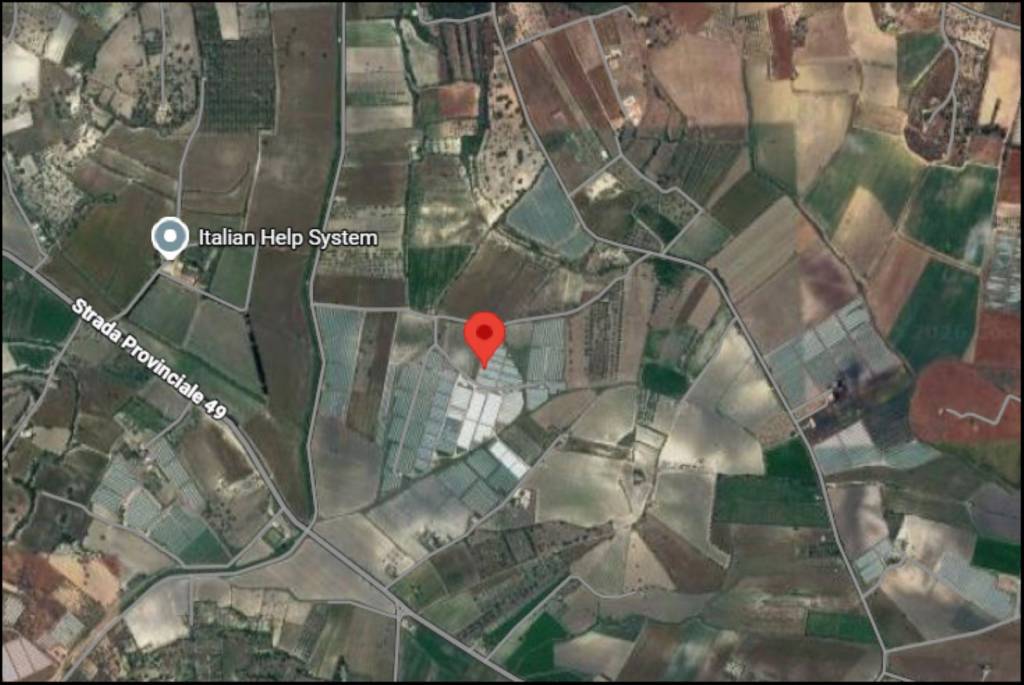 immagine annuncio 11 di 12