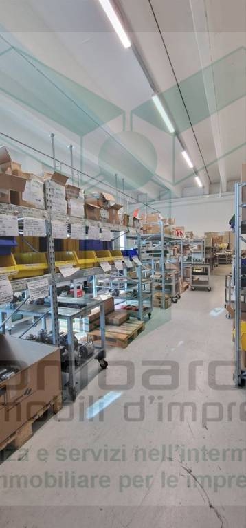 immagine annuncio 12 di 15