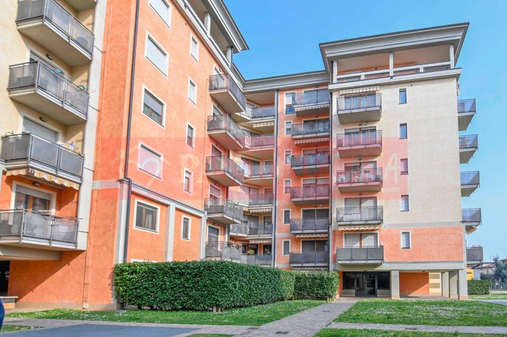 immagine annuncio 1 di 15