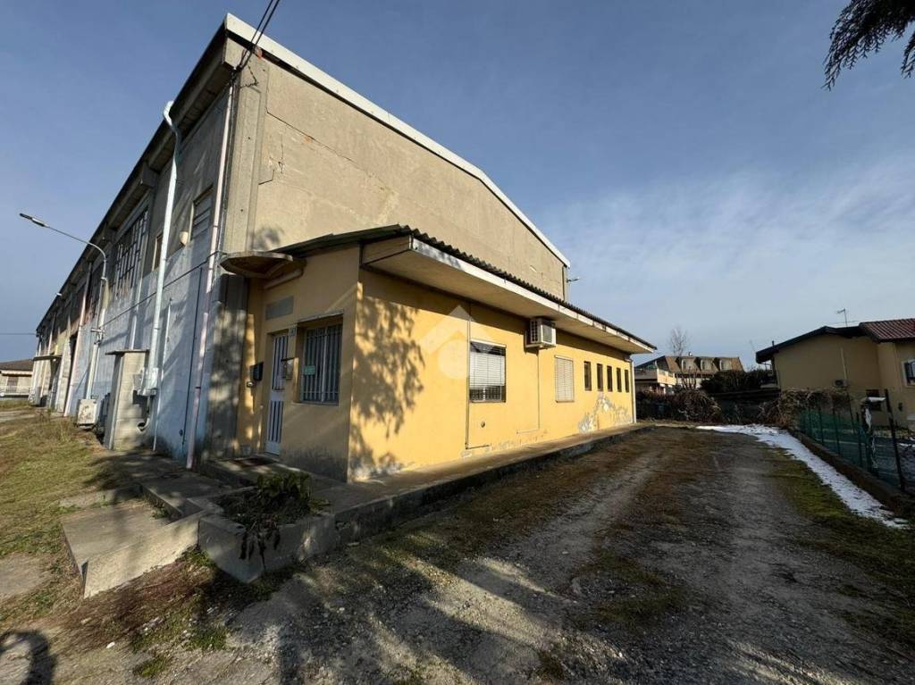 immagine annuncio 1 di 15