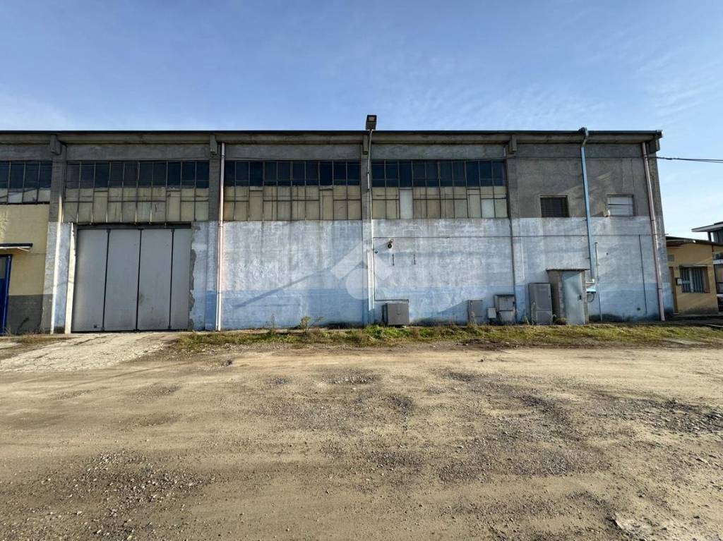 immagine annuncio 11 di 15