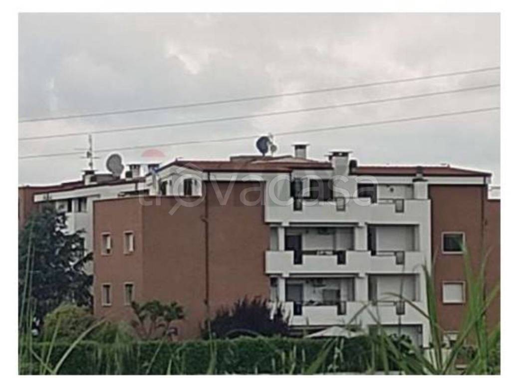 immagine annuncio 3 di 14