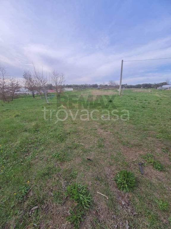 immagine annuncio 4 di 6