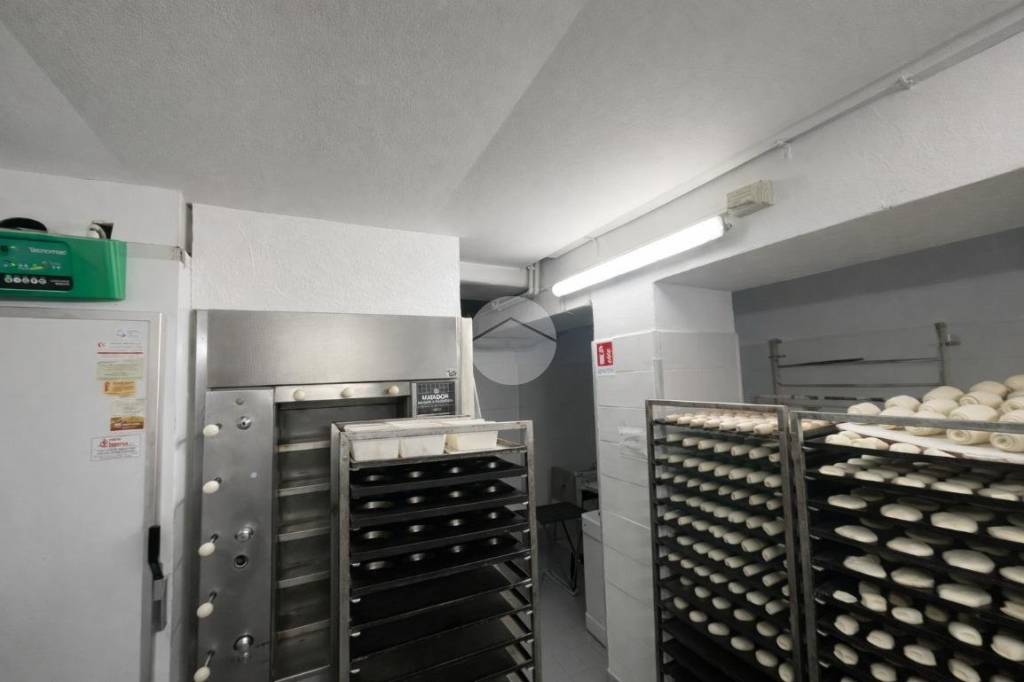 immagine annuncio 5 di 6