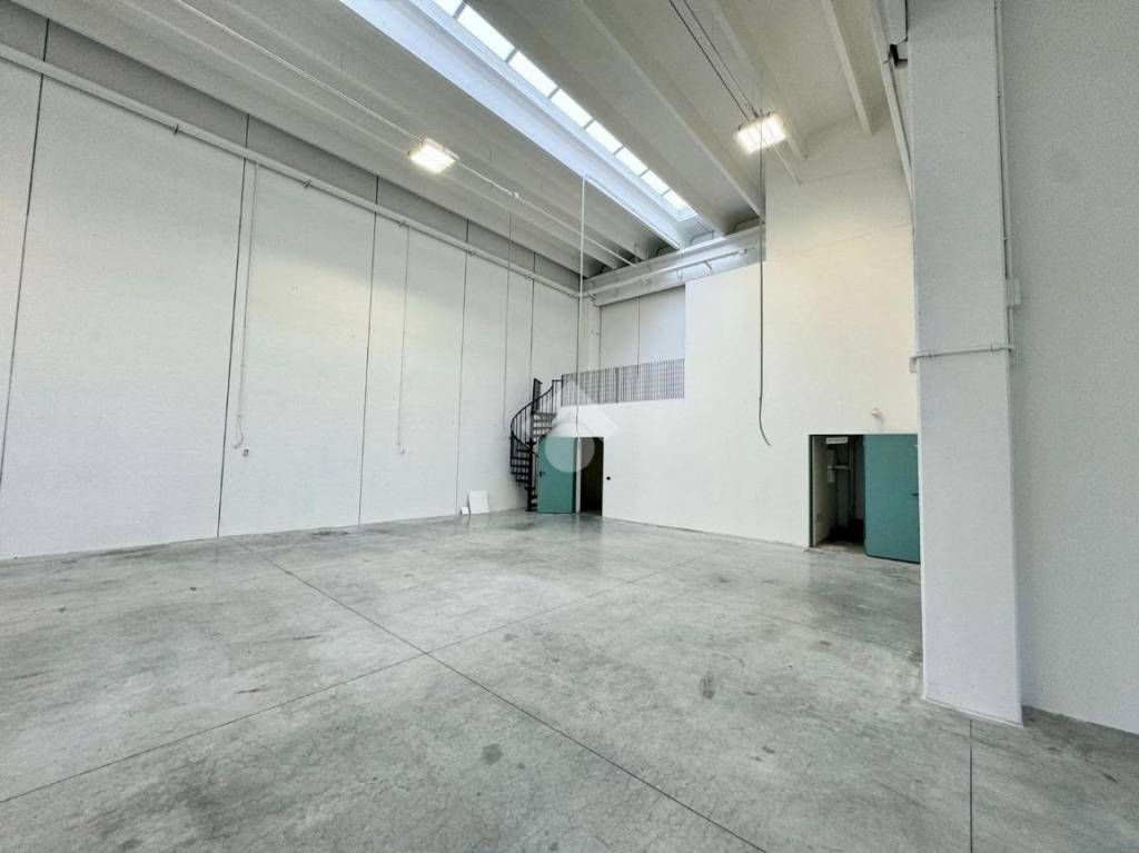 immagine annuncio 3 di 12