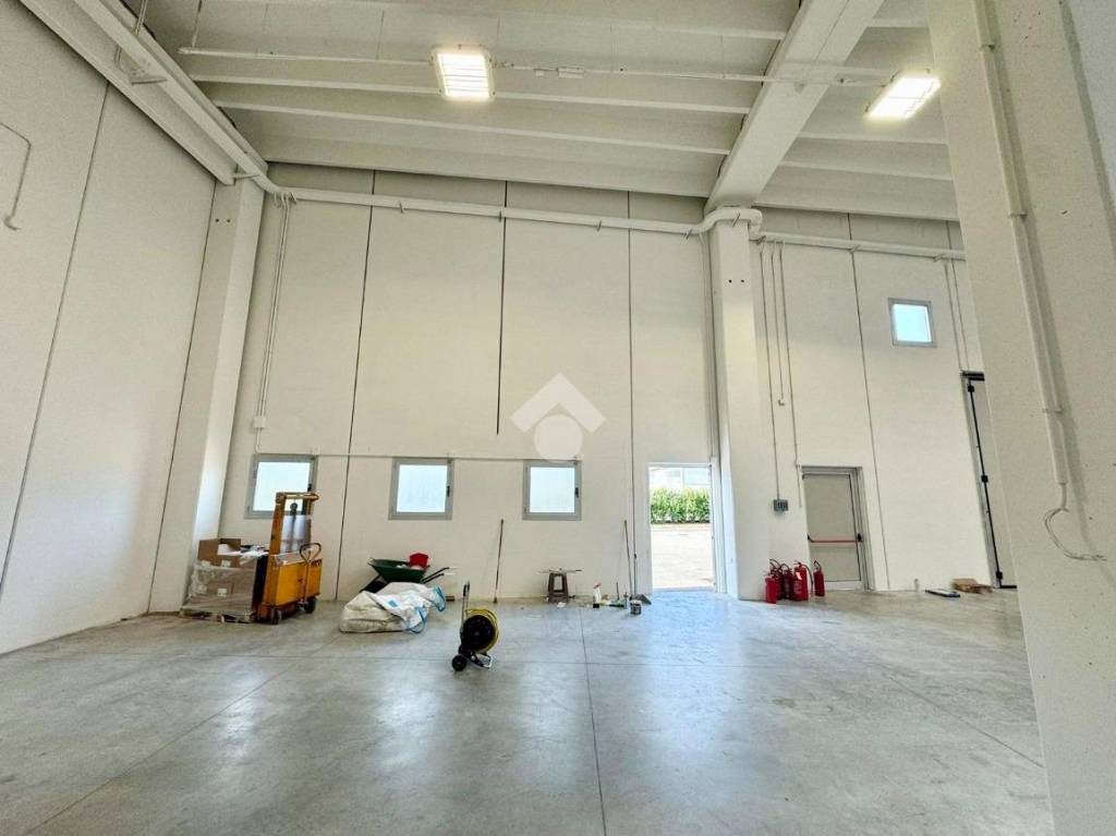 immagine annuncio 4 di 12