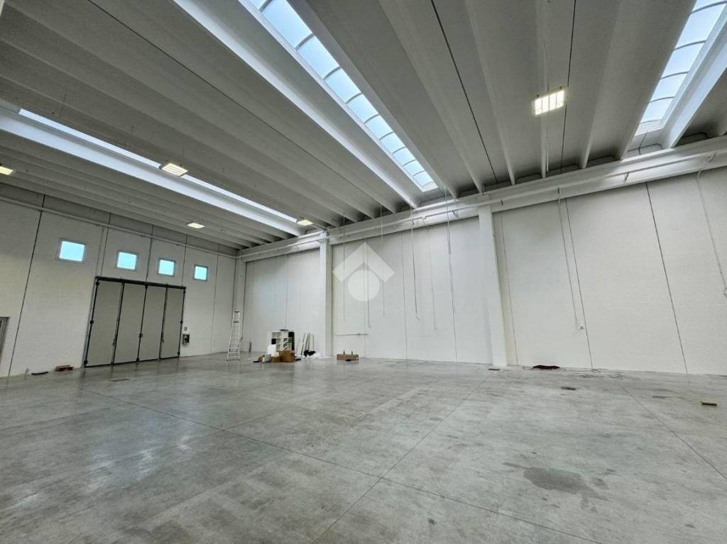 immagine annuncio 5 di 12