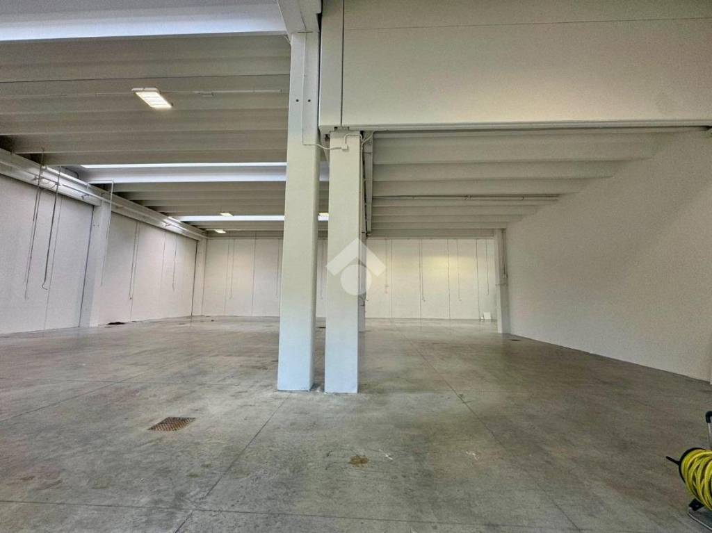 immagine annuncio 6 di 12