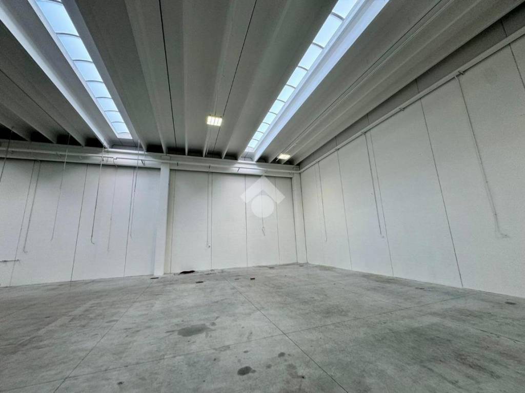 immagine annuncio 7 di 12