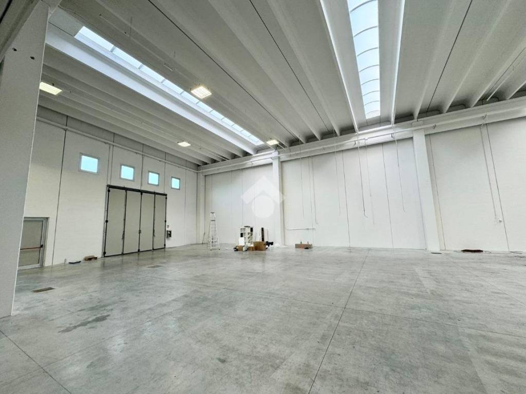 immagine annuncio 8 di 12