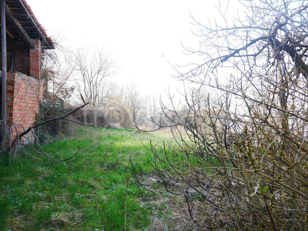 immagine annuncio 6 di 13