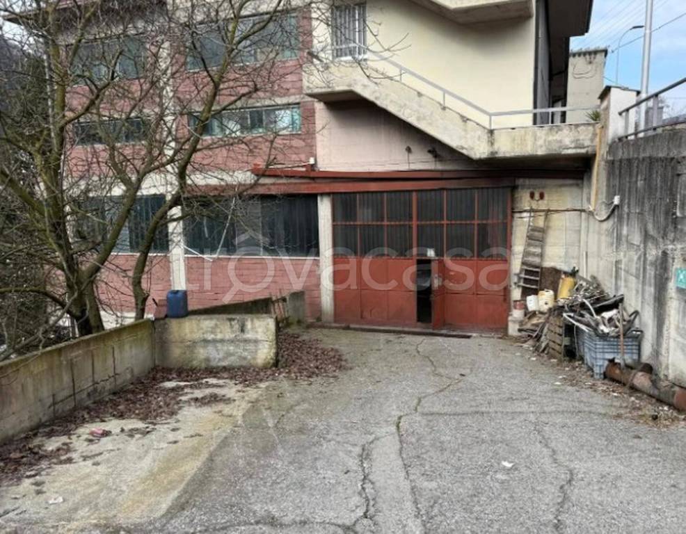 immagine annuncio 4 di 14