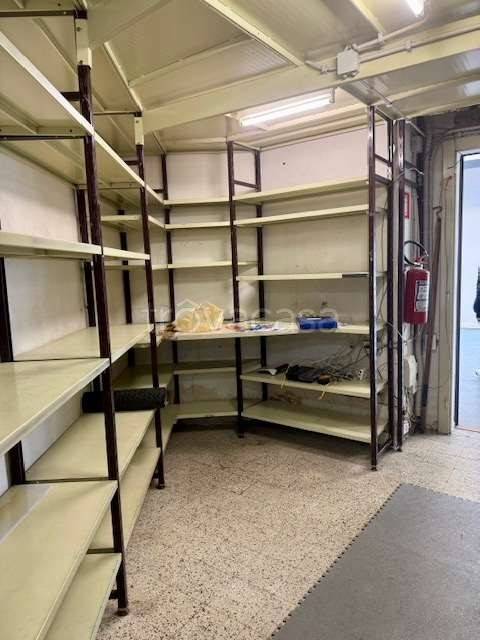 immagine annuncio 9 di 14