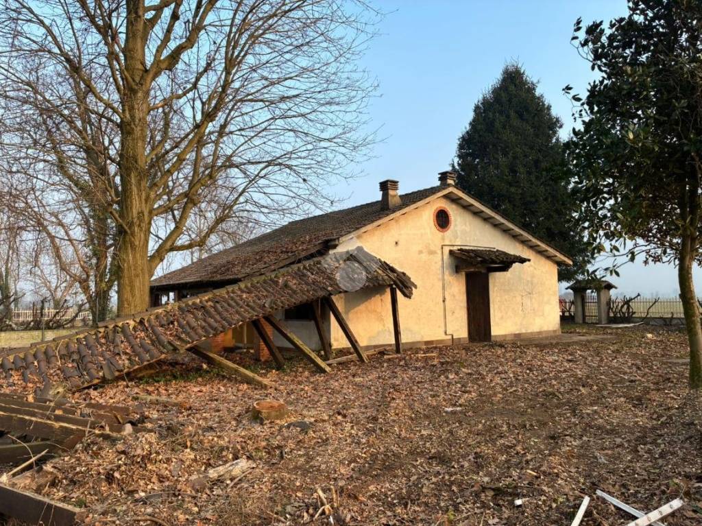 immagine annuncio 1 di 14