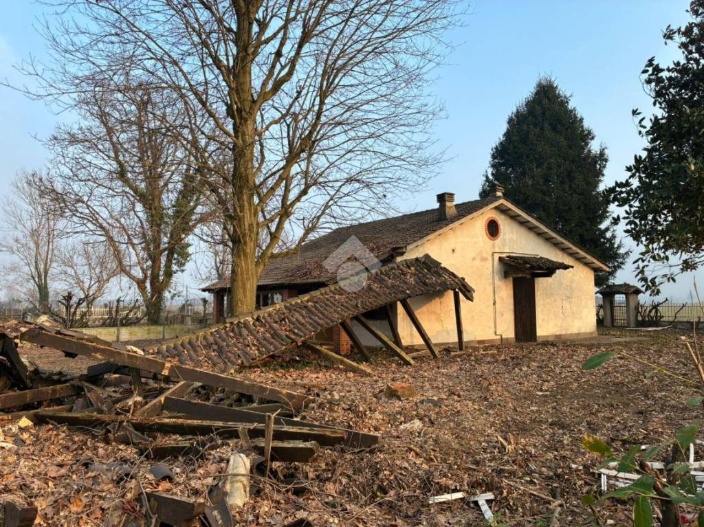 immagine annuncio 2 di 14