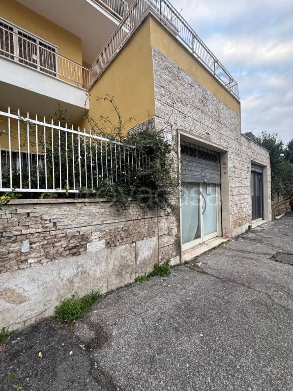 immagine annuncio 9 di 11