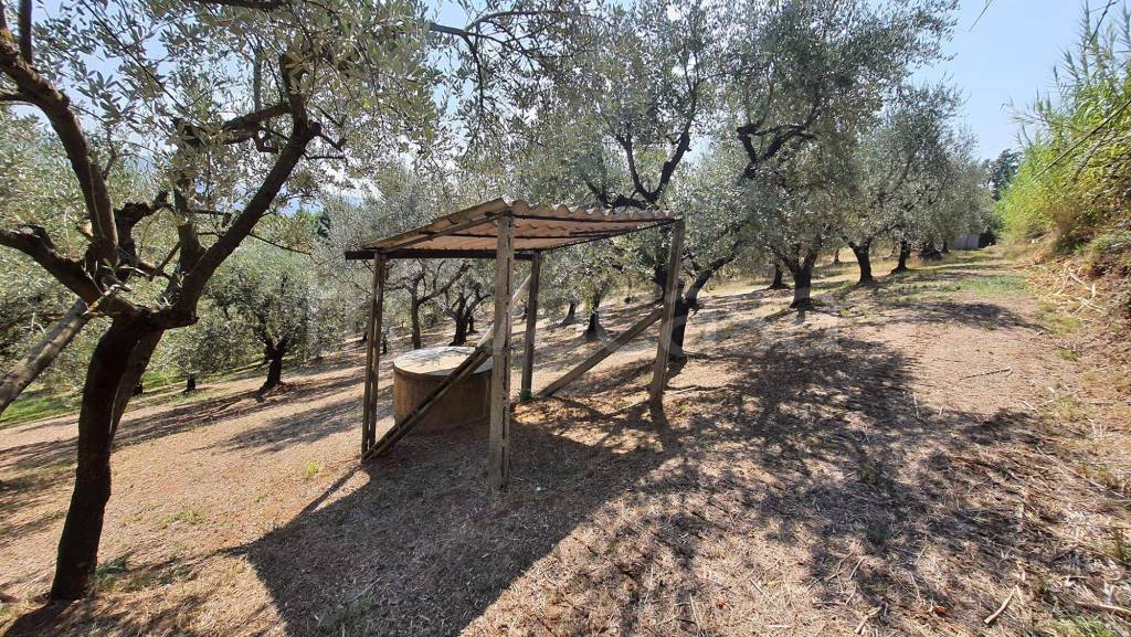 immagine annuncio 4 di 13