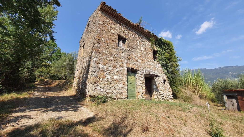 immagine annuncio 9 di 13