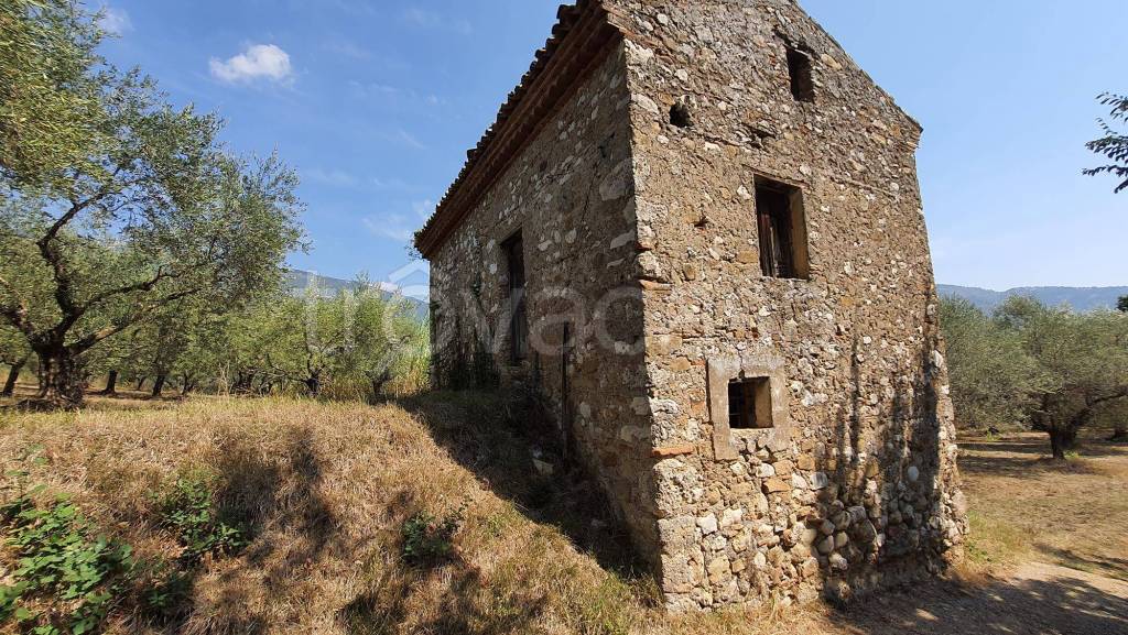 immagine annuncio 10 di 13