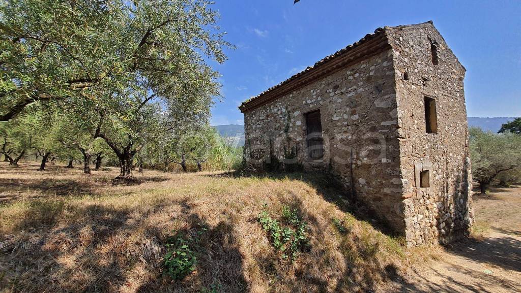 immagine annuncio 11 di 13