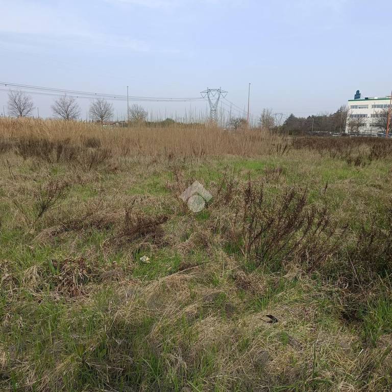 immagine annuncio 3 di 12