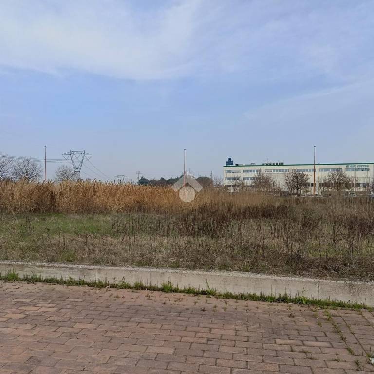 immagine annuncio 6 di 12