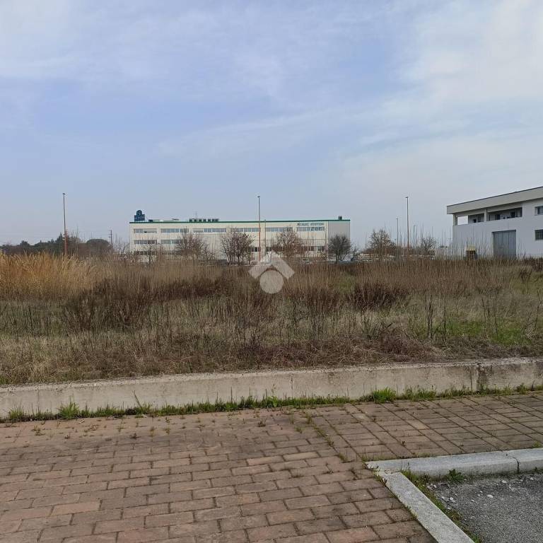 immagine annuncio 7 di 12