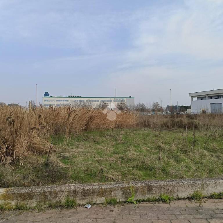 immagine annuncio 8 di 12