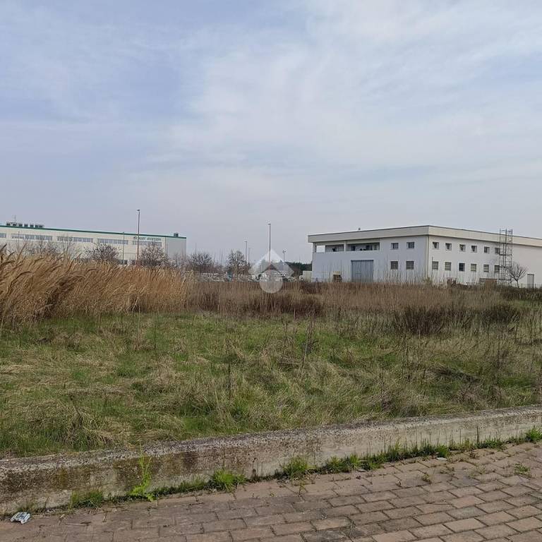 immagine annuncio 9 di 12